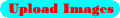 Upload Images image - link to Upload Images page for uploading images